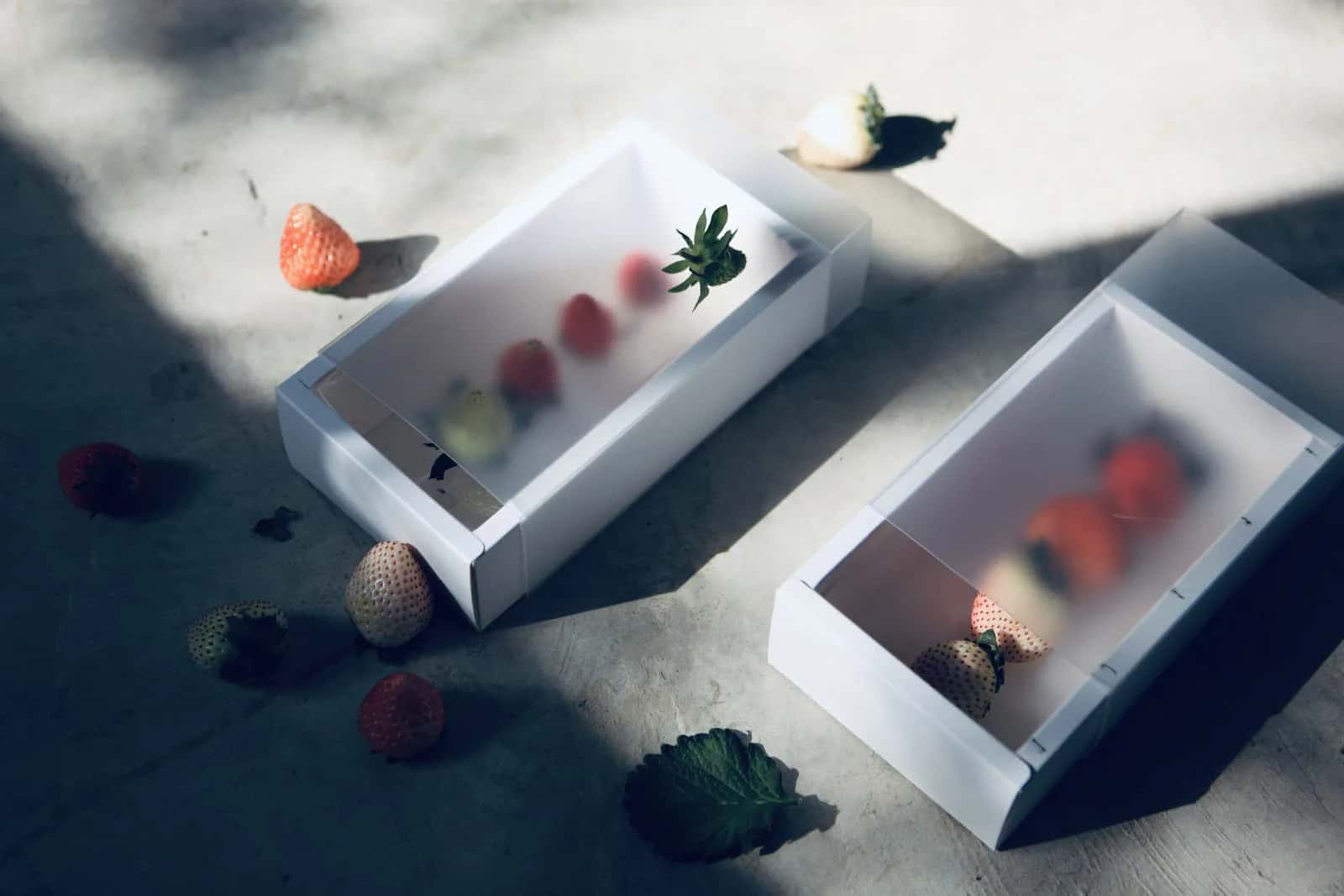 Two semi-translucent white strawberry boxes on concrete in raking sunlight, their slide-out holders revealing blurred red and white strawberries, with loose berries and a leaf around them.