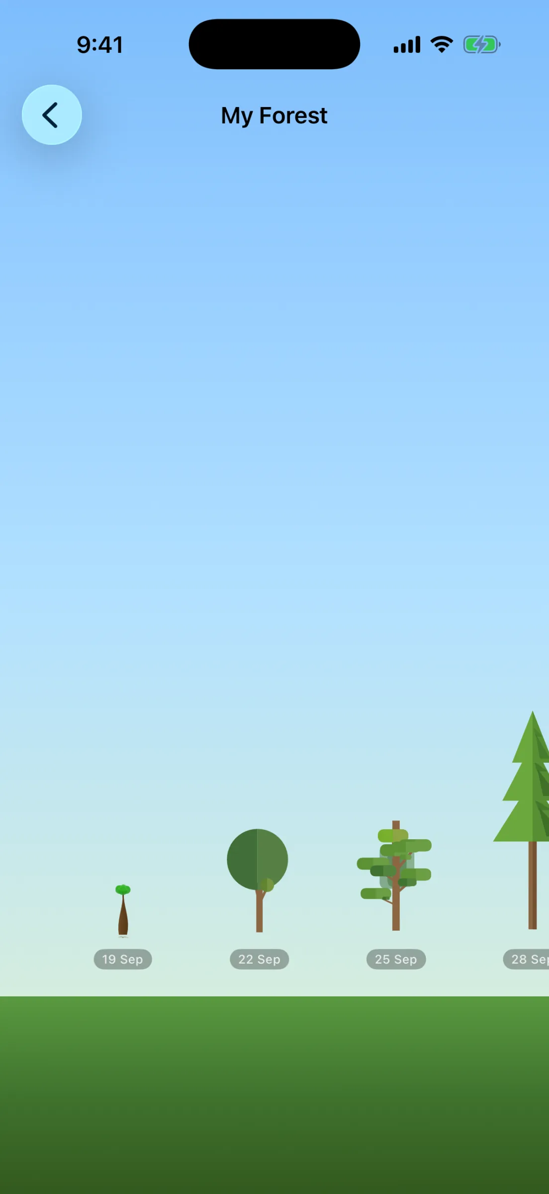 My Forest screen: a row of dated trees of increasing size on a grassy horizon, one per past session.